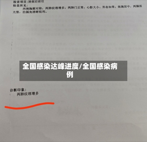 全国感染达峰进度/全国感染病例-第3张图片