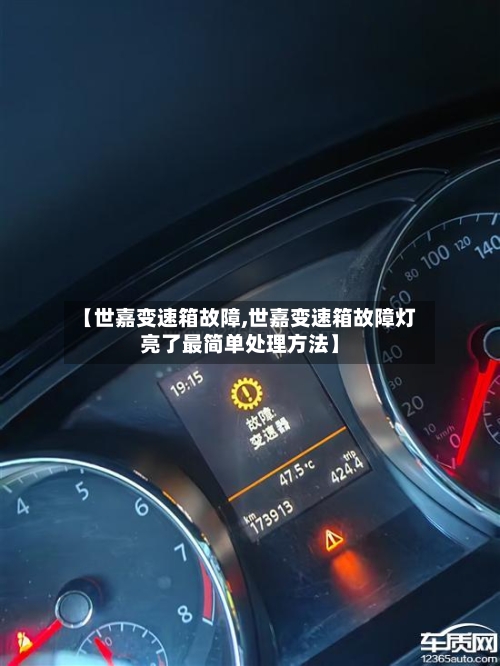 【世嘉变速箱故障,世嘉变速箱故障灯亮了最简单处理方法】-第2张图片