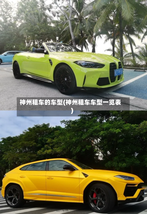 神州租车的车型(神州租车车型一览表)