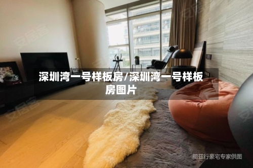 深圳湾一号样板房/深圳湾一号样板房图片