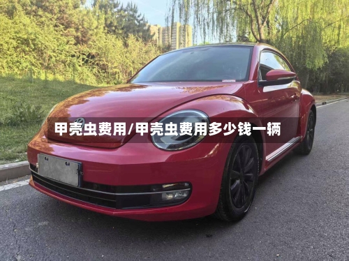 甲壳虫费用/甲壳虫费用多少钱一辆-第2张图片