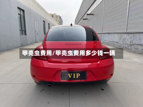 甲壳虫费用/甲壳虫费用多少钱一辆
