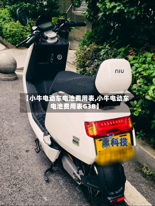 【小牛电动车电池费用表,小牛电动车电池费用表G3B】