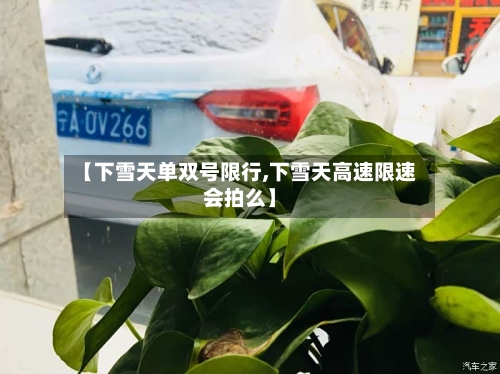 【下雪天单双号限行,下雪天高速限速会拍么】-第3张图片