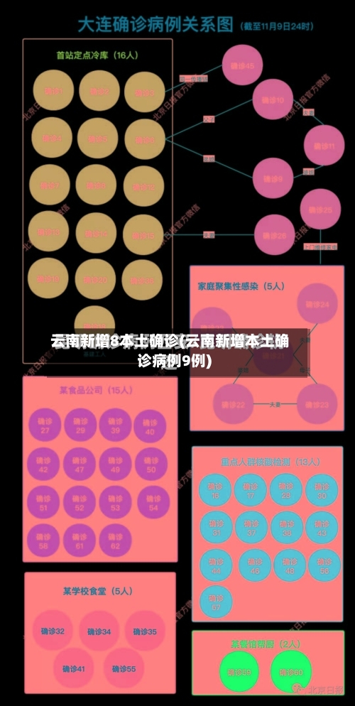 云南新增8本土确诊(云南新增本土确诊病例9例)-第2张图片