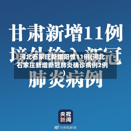 河北石家庄新增阳性11例(河北石家庄新增新冠肺炎确诊病例2例)-第2张图片