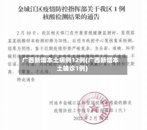 广西新增本土病例12例(广西新增本土确诊1例)-第2张图片