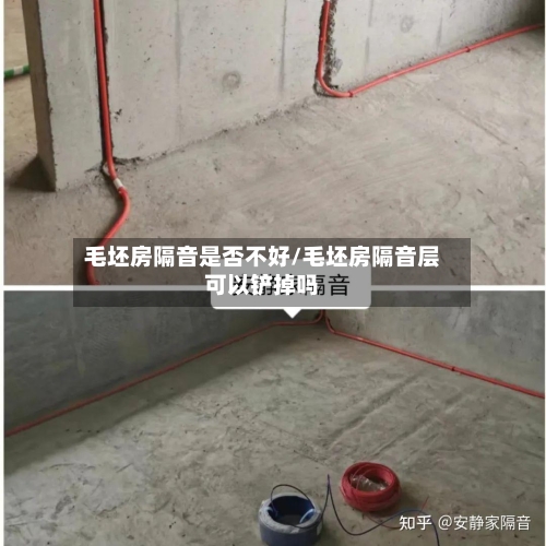 毛坯房隔音是否不好/毛坯房隔音层可以铲掉吗