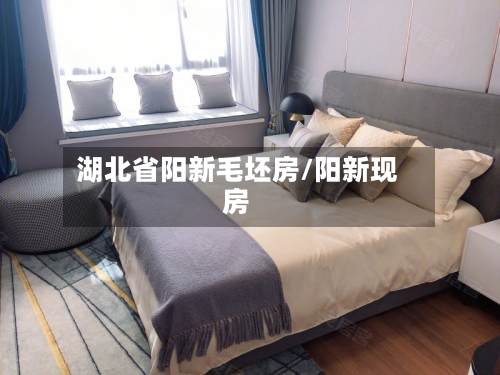 湖北省阳新毛坯房/阳新现房