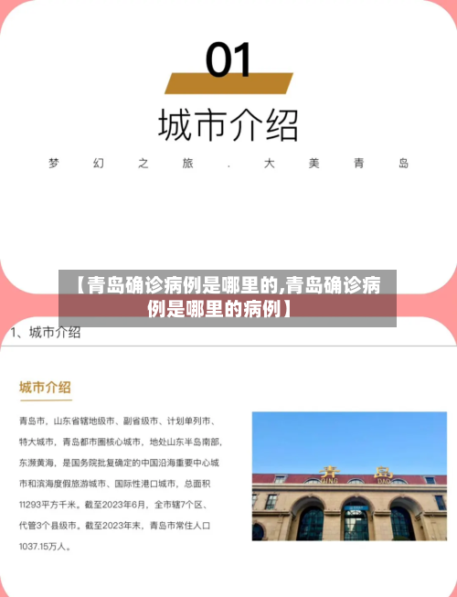 【青岛确诊病例是哪里的,青岛确诊病例是哪里的病例】-第2张图片