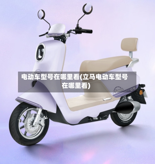 电动车型号在哪里看(立马电动车型号在哪里看)-第3张图片