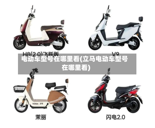 电动车型号在哪里看(立马电动车型号在哪里看)-第1张图片