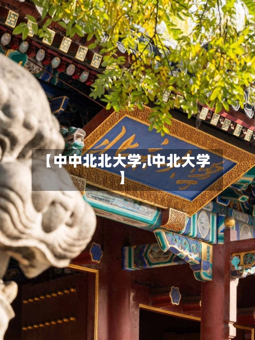 【中中北北大学,l中北大学】-第2张图片