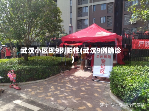武汉小区现9例阳性(武汉9例确诊)-第2张图片
