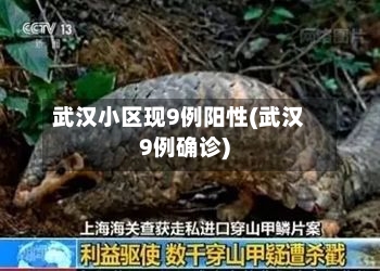 武汉小区现9例阳性(武汉9例确诊)-第3张图片