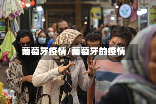 葡萄牙疫情/葡萄牙的疫情-第3张图片