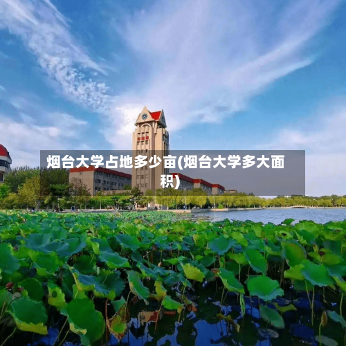 烟台大学占地多少亩(烟台大学多大面积)-第2张图片