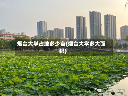 烟台大学占地多少亩(烟台大学多大面积)