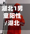 湖北1男童阳性/湖北小男孩离奇死亡