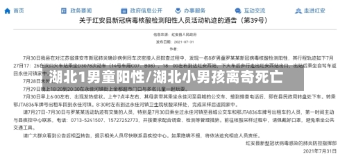 湖北1男童阳性/湖北小男孩离奇死亡-第2张图片