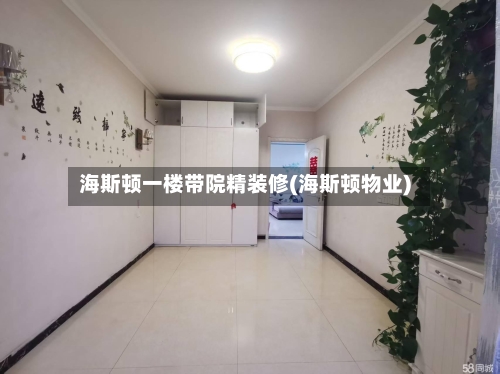海斯顿一楼带院精装修(海斯顿物业)-第2张图片