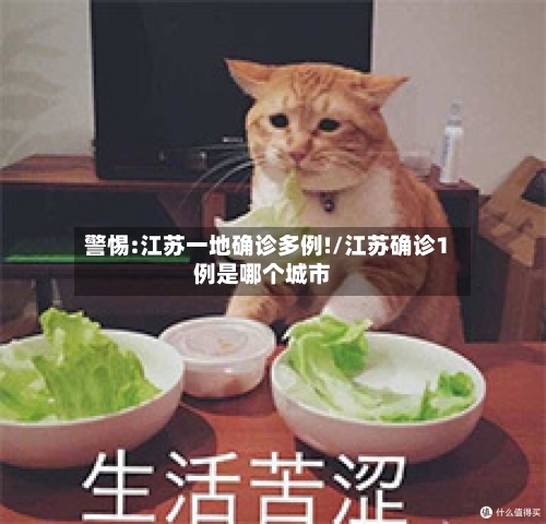 警惕:江苏一地确诊多例!/江苏确诊1例是哪个城市-第3张图片
