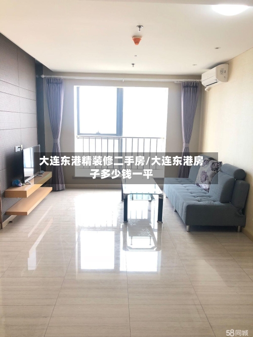 大连东港精装修二手房/大连东港房子多少钱一平-第1张图片
