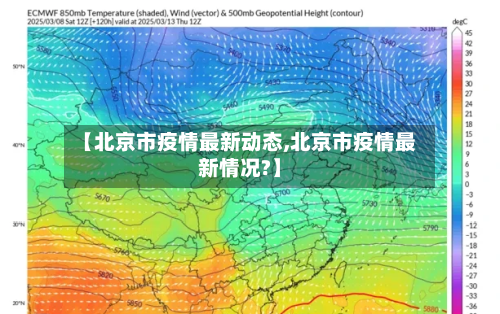 【北京市疫情最新动态,北京市疫情最新情况?】-第3张图片