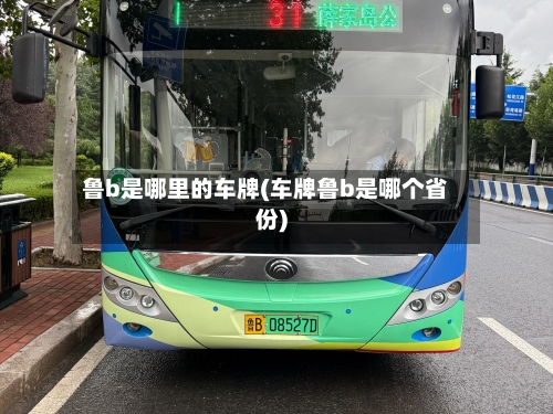 鲁b是哪里的车牌(车牌鲁b是哪个省份)-第1张图片