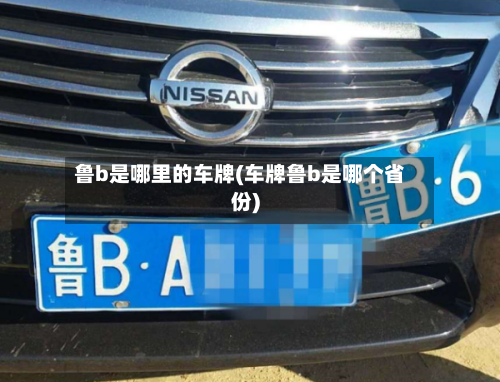 鲁b是哪里的车牌(车牌鲁b是哪个省份)-第3张图片