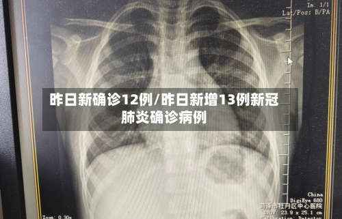昨日新确诊12例/昨日新增13例新冠肺炎确诊病例-第3张图片