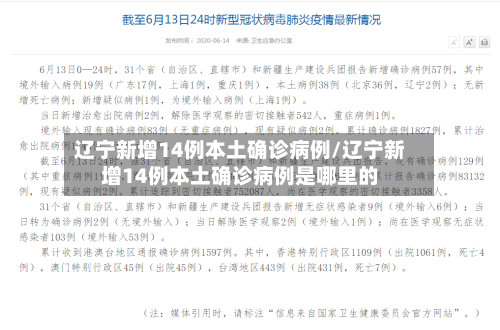 辽宁新增14例本土确诊病例/辽宁新增14例本土确诊病例是哪里的-第3张图片