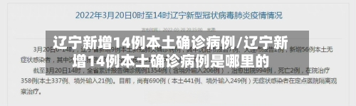 辽宁新增14例本土确诊病例/辽宁新增14例本土确诊病例是哪里的-第1张图片