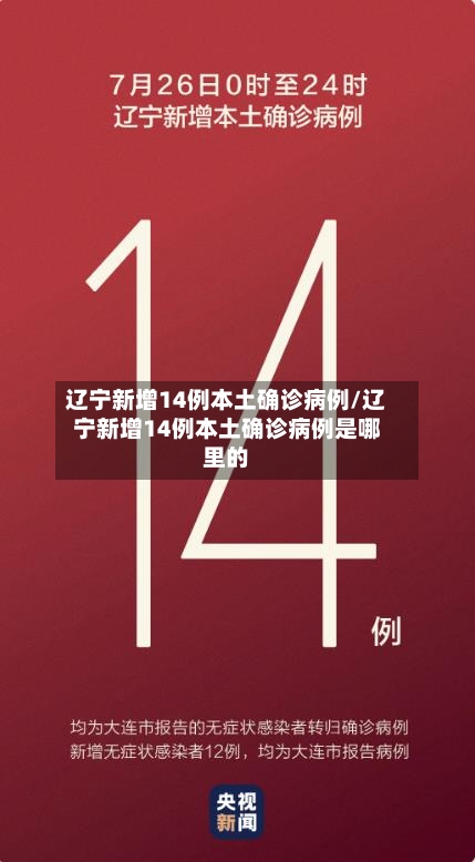 辽宁新增14例本土确诊病例/辽宁新增14例本土确诊病例是哪里的-第2张图片