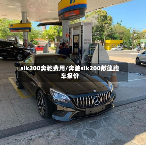 slk200奔驰费用/奔驰slk200敞篷跑车报价-第2张图片