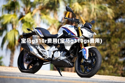 宝马g310r费用(宝马g310gs费用)-第2张图片