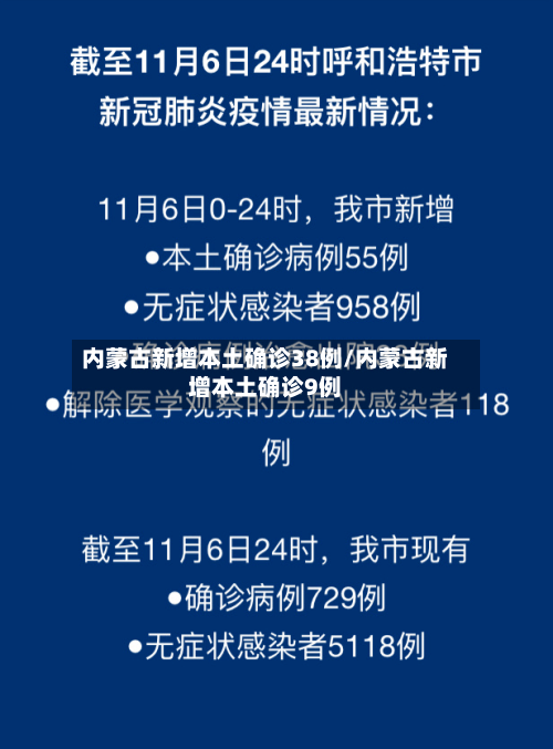 内蒙古新增本土确诊38例/内蒙古新增本土确诊9例