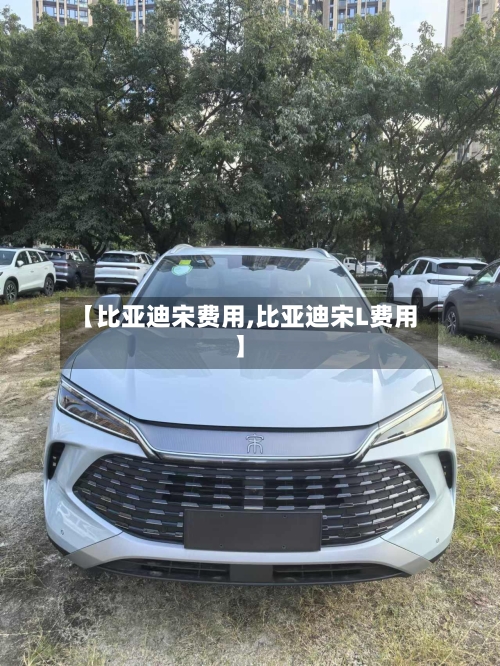 【比亚迪宋费用,比亚迪宋L费用】-第2张图片