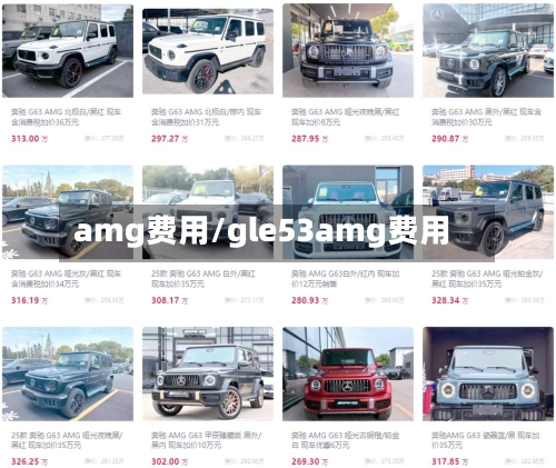 amg费用/gle53amg费用