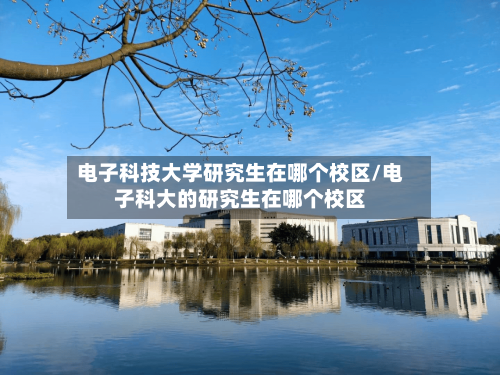 电子科技大学研究生在哪个校区/电子科大的研究生在哪个校区-第3张图片