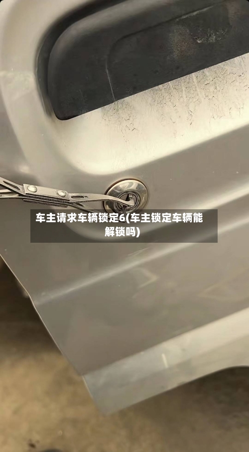 车主请求车辆锁定6(车主锁定车辆能解锁吗)-第2张图片