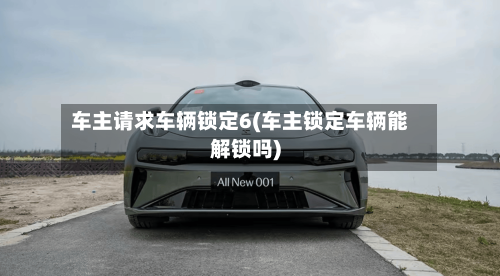 车主请求车辆锁定6(车主锁定车辆能解锁吗)-第1张图片