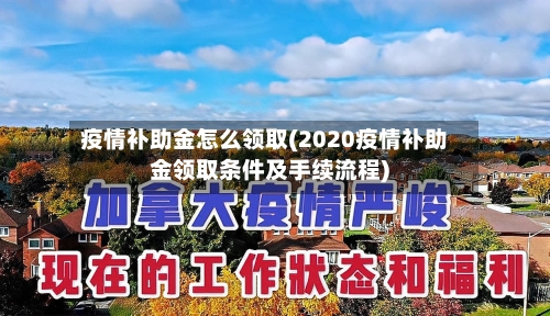 疫情补助金怎么领取(2020疫情补助金领取条件及手续流程)-第1张图片
