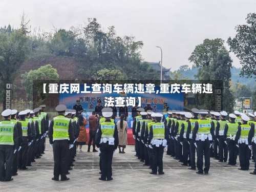 【重庆网上查询车辆违章,重庆车辆违法查询】
