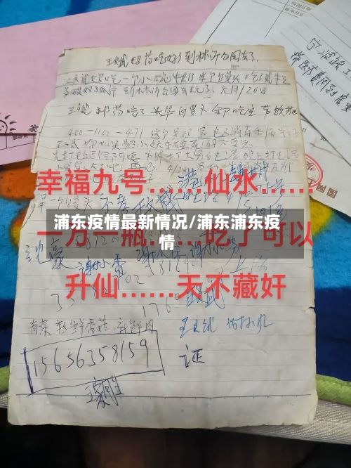 浦东疫情最新情况/浦东浦东疫情