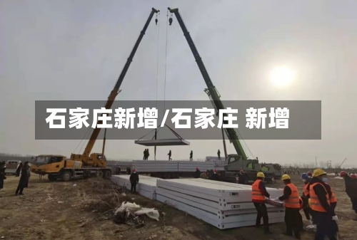 石家庄新增/石家庄 新增-第2张图片