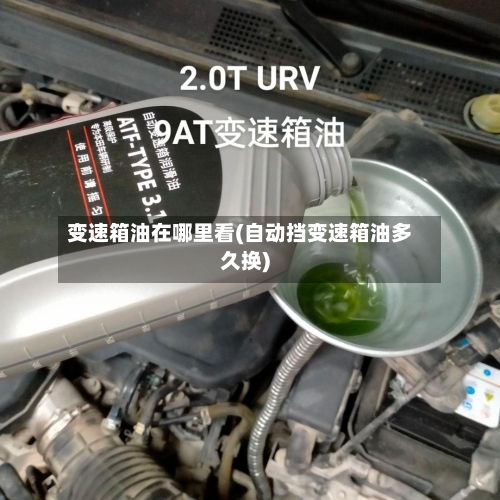 变速箱油在哪里看(自动挡变速箱油多久换)