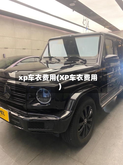 xp车衣费用(XP车衣费用)-第3张图片
