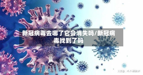新冠病毒去哪了它会消失吗/新冠病毒找到了吗-第2张图片