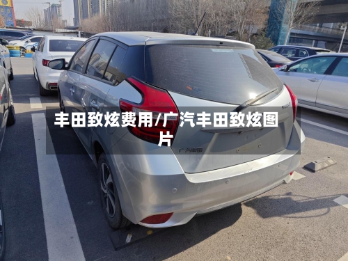 丰田致炫费用/广汽丰田致炫图片